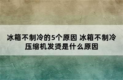 冰箱不制冷的5个原因 冰箱不制冷压缩机发烫是什么原因